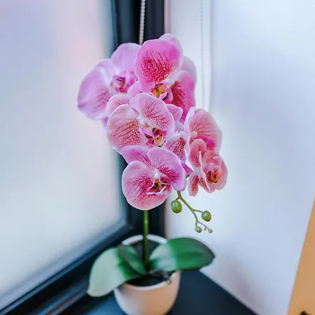 Apartamento 2025 Traveler Award Winner - Gorgeous Flat In Ideal For Long *